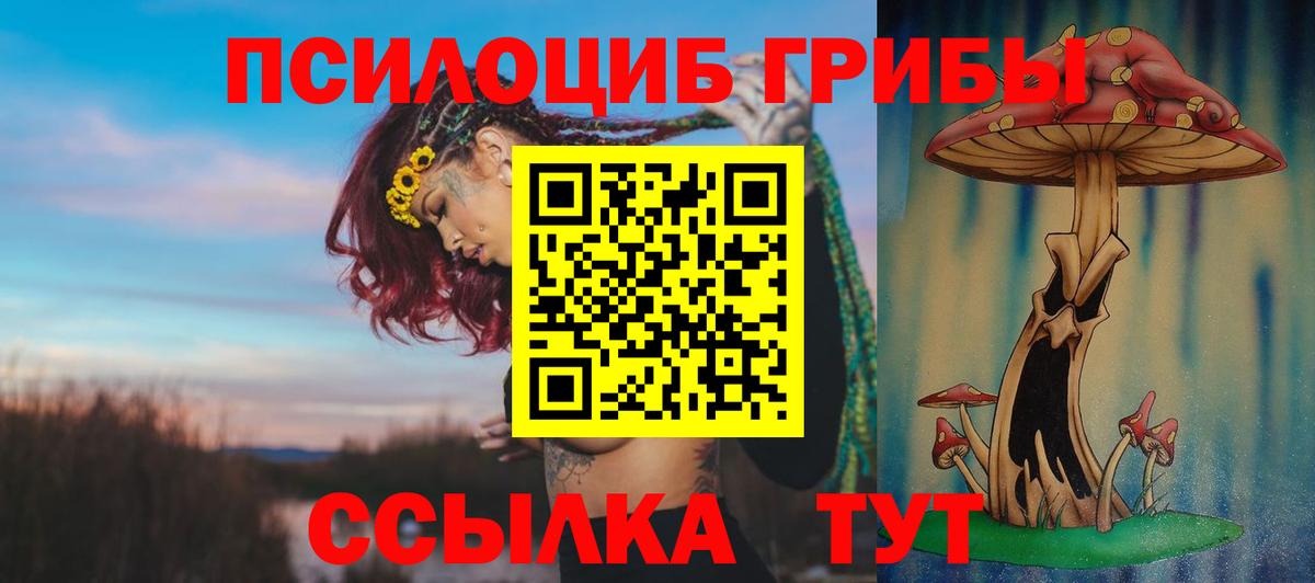 Псилоцибиновые грибы прущие грибы Алушта